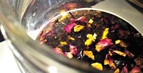 Maceration: Herbal extraction technique | Albrigi Inherba | The world of aromatic plants ...