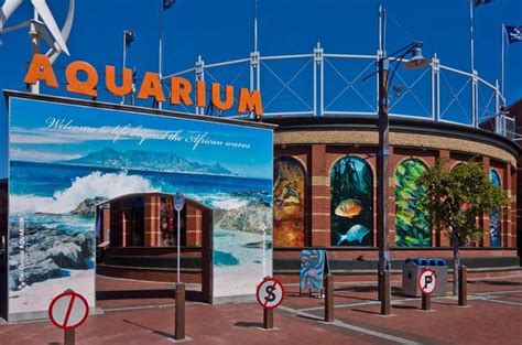 Images of Conference Centres in Cape Town | Two Oceans Aquarium | Cape ...