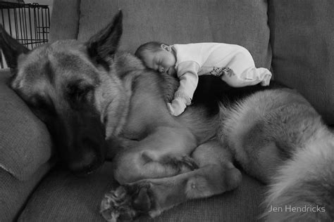 Dogs And Babies Sleeping Are What The World Needs Now | HuffPost