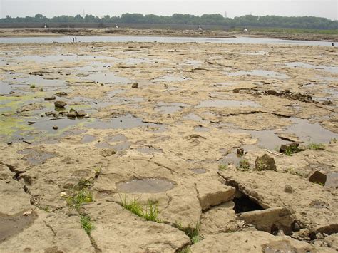 Fossil Beds | Falls of the Ohio State Park, Clarksville, Ind… | Flickr ...