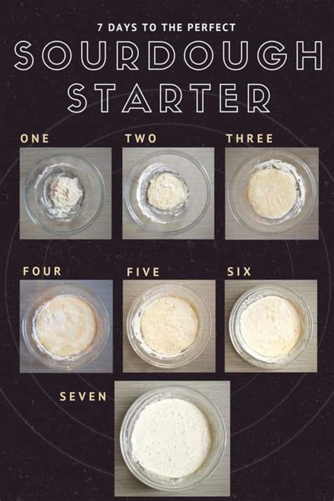 how to make a sourdough starter - Smart Nutrition with Jessica Penner, RD