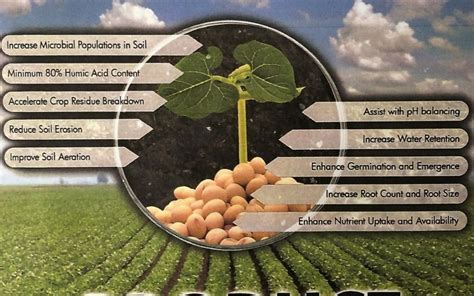 Benefits of Humic Acid in Agriculture | Vermigrow