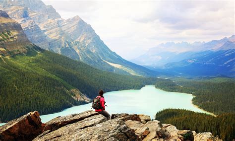 Banff Vacation Rentals | Cabin and House Rentals | Airbnb