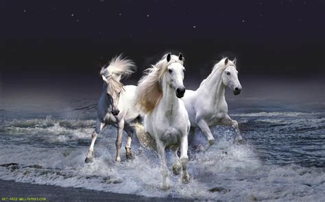 Free Horse Screensavers and Wallpapers