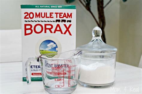 Homemade Ant Killer - Works In Minutes! - Mom 4 Real