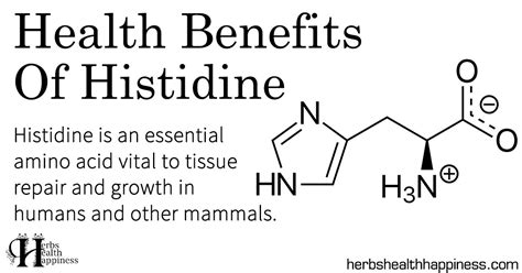 Health Benefits Of Histidine - Herbs Health & Happiness