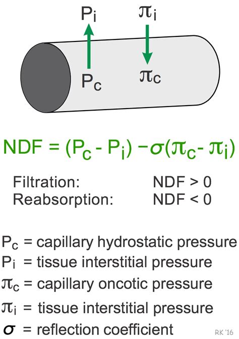 CV Physiology | Physical Factors that Determine Capillary Fluid Exchange