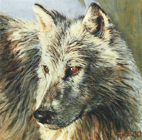 Arctic Wolf Painting by Steve Greco - Fine Art America