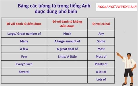 Lượng từ trong tiếng Anh - Trung tâm ngoại ngữ Phương Lan