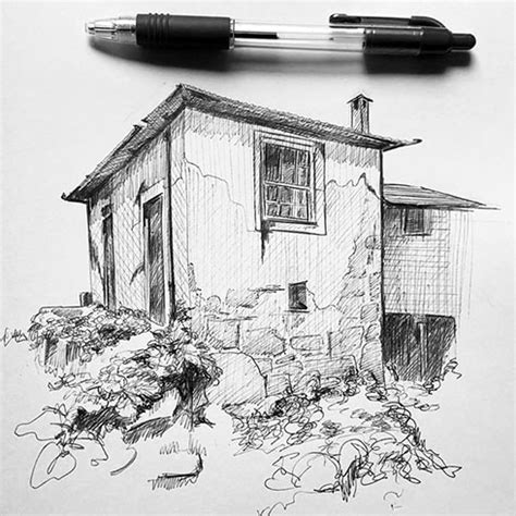 Learn to draw landscapes with pen and ink with Sue Pownall