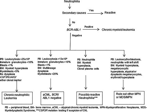 Chronic neutrophilic leukaemia | Journal of Clinical Pathology