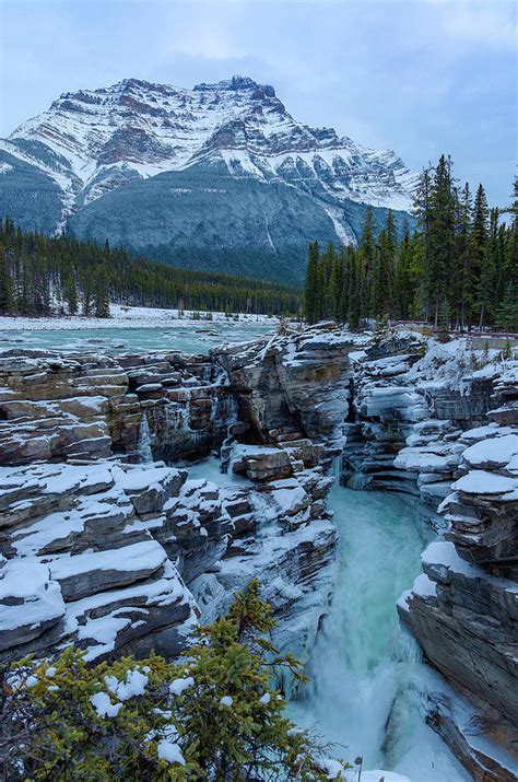 Athabasca Falls In Winter With Mount by Michael Wheatley