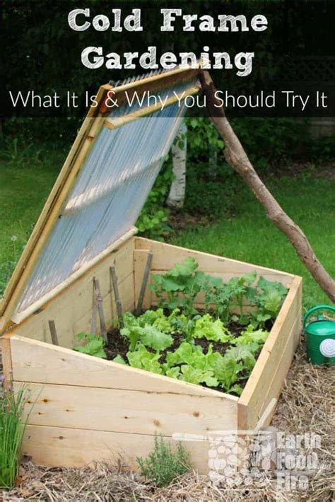 Cold Frame Gardening | What Is It, and Why You Should Try It - Earth, Food, and Fire