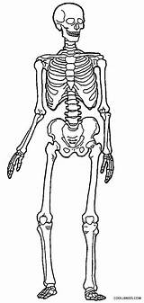 Printable Skeleton Coloring Pages For Kids sketch template