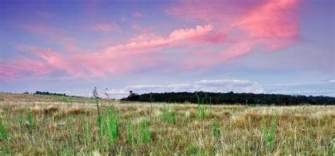 The Grassy Knoll Photograph by Mark Lucey - Fine Art America