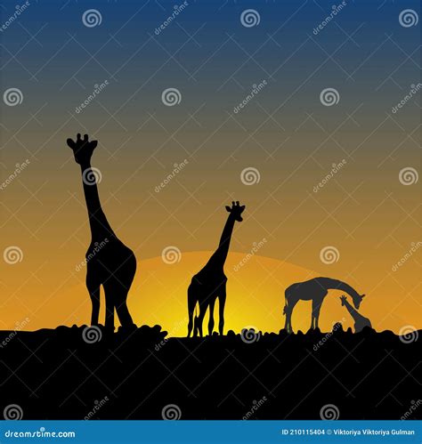 Giraffes in the African Savanna at Sunset Stock Vector - Illustration ...