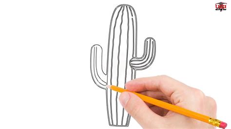 How to Draw a Cactus Step by Step Easy for Beginners/Kids – Simple ...