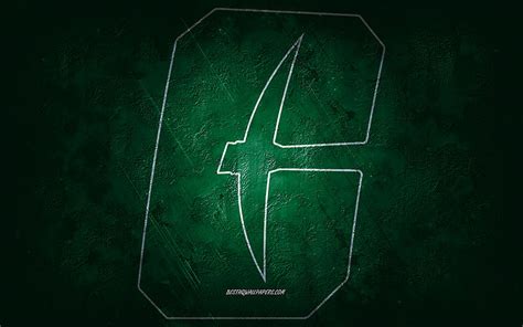 Charlotte 49ers, American football team, green background, Charlotte ...