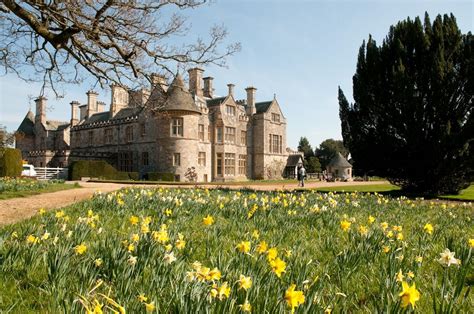 Spring-time at Beaulieu in Hampshire | Beautiful locations, Croft castle, Palace house