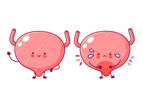 Premium Vector | Cute happy and sad sick funny human bladder organ character