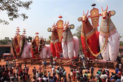 Kerala Temple Festivals: Bull Effigies, Colorful Parades And Traditional Orchestra – Discovering ...