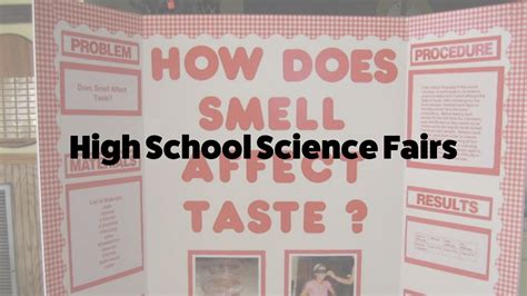 High School Science Fairs — Inspirit AI