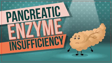 Understanding Pancreatic Exocrine Insufficiency Animation - Canadian Digestive Health Foundation