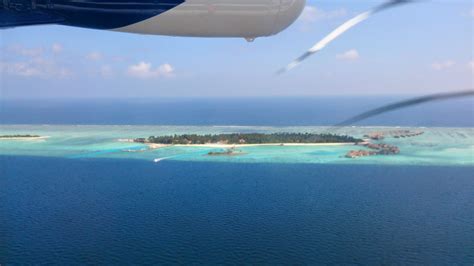 Dive Instructor in: Thaa Atoll, Maldives | Life&Dive