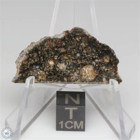 NWA 15656 Eucrite-pmict Meteorite 15656-27 - The Meteorite Exchange, Inc.