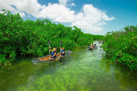 Clear Kayak Mangrove Tours | Ventures By Drex | Turks Ventures