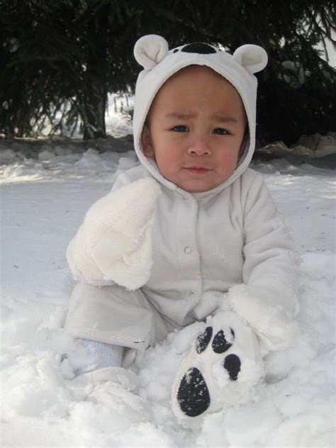 Polar Bear #Halloween #Costume? :) #kids Bear Halloween, Haloween ...