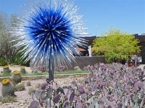 Desert Botanical Garden: Downtown/South Scottsdale, Arizona