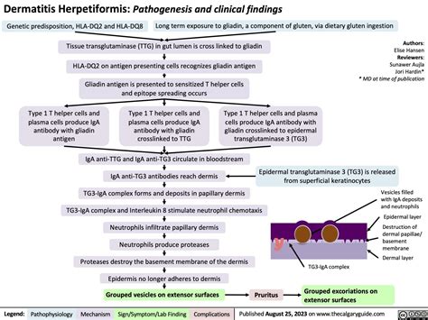 Dermatitis herpetiformis: pathogenesis and clinical findings | Calgary Guide