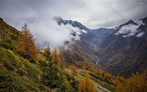 Fog rising from the autumn mountain forest wallpaper - Nature wallpapers - #42571