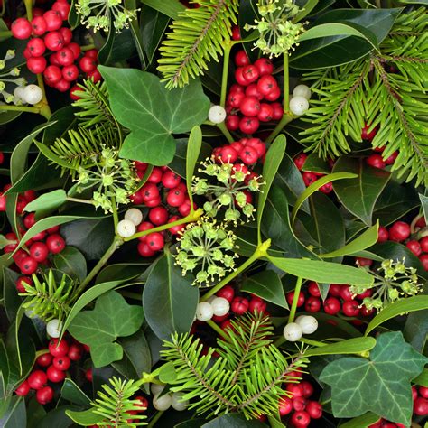 Holly, Ivy & Mistletoe: Natural Holiday Décor | Bloom Magazine