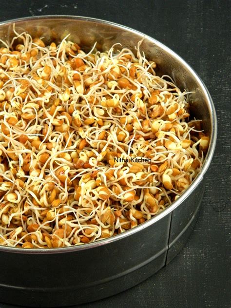 Homegrown Horse Gram Sprouts முளை கட்டிய கொள்ளு - Nitha Kitchen