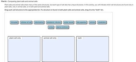 Part A - Comparing plant cells and animal cells Plant | Chegg.com