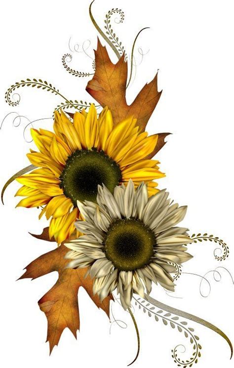 Herbststurm Clipart Flowers