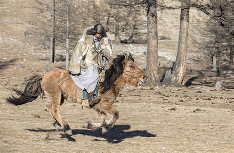 How A Handful of Yamnaya Culture Nomads Became the Fathers of Europe | Ancient Origins