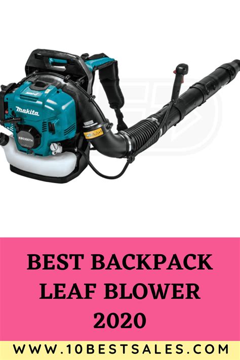 Best Backpack Leaf Blower 2020 | Cool backpacks, Leaf blower, Blowers