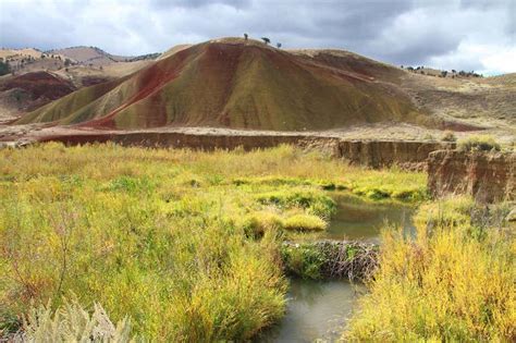 Beaver dams keeps streams cool and protect sensitive fish (beavers ...