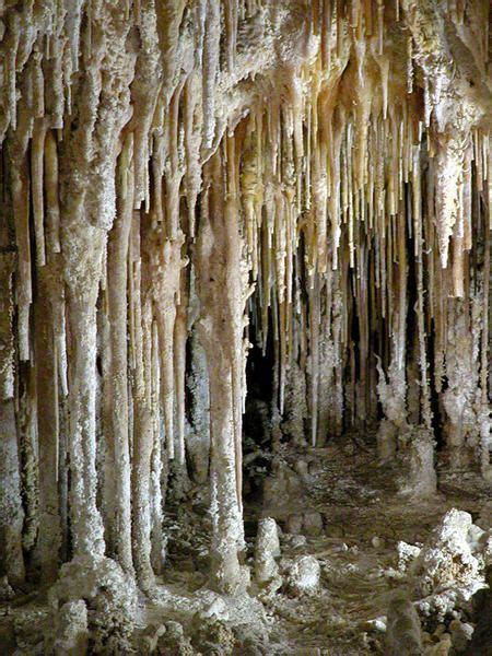 Stalactites and stalagmites | Carlsbad caverns national park, Carlsbad ...