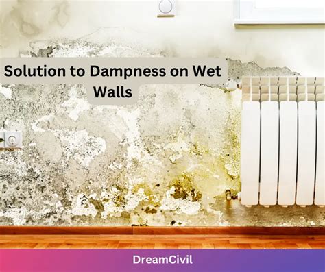 Problems and Solution to Dampness on Wet Walls - Dream Civil