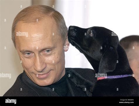 Russian President Vladimir Putin with a puppy born to his dog Labrador Connie The puppy was ...