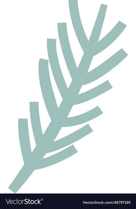 Pine tree branch Royalty Free Vector Image - VectorStock