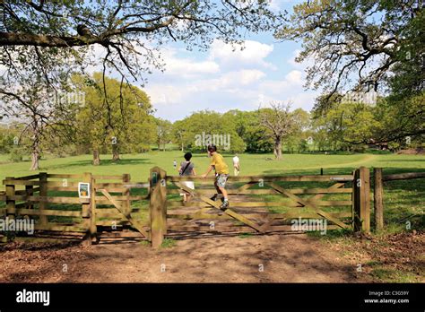 The Surrey countryside near Guildford England UK Stock Photo, Royalty Free Image: 36620135 - Alamy