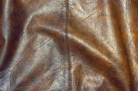 Genuine Leather 4 Free Stock Photo - Public Domain Pictures