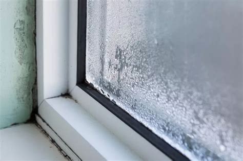 How to get rid of condensation inside windows - Birmingham Live