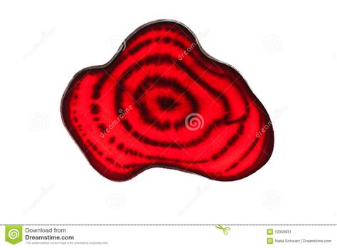 Sliced Beetroot stock image. Image of beta, freshness - 12359931