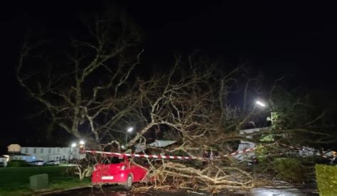 Power outages and fallen trees across Limerick as crews deal with Storm ...